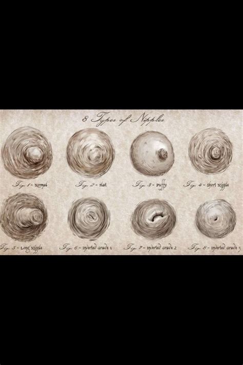 There Are 8 Types of Nipples in the World